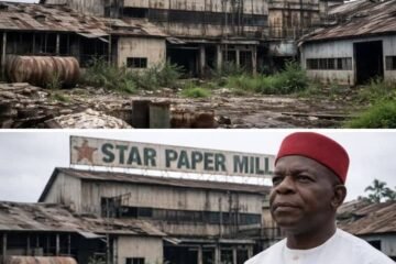 Abia’s Star Paper Mill Not Publicity Stunt, Followed AMCON Due Process – By Prof Chukwuemeka Ifegwu Eke
