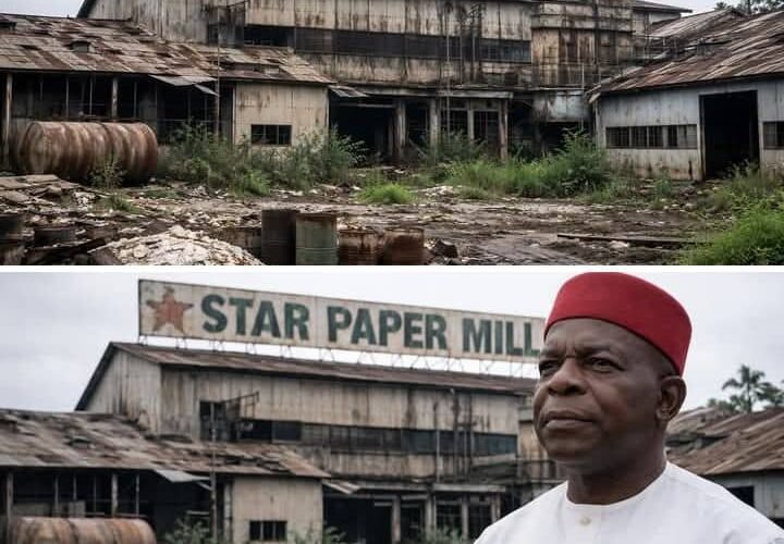 IMG 20251217 WA00421