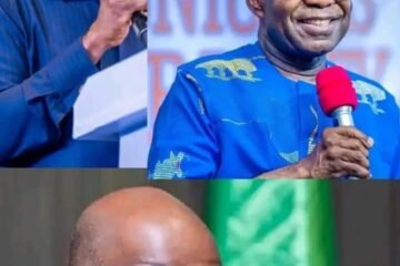 Beyond Politics, Toward Institutions: Alex Otti, The Learning-State Idea, And The Global Case For Legacy Governance – By Prof Chukwuemeka Ifegwu Eke