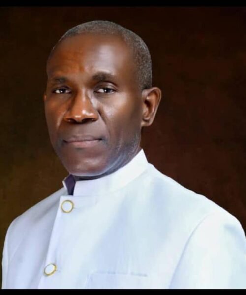 They Call Me Many Names: A Pen Terrorist, A Stinging Bee, And Lately Even A London Propogandist – By Prof Chukwuemeka Ifegwu Eke