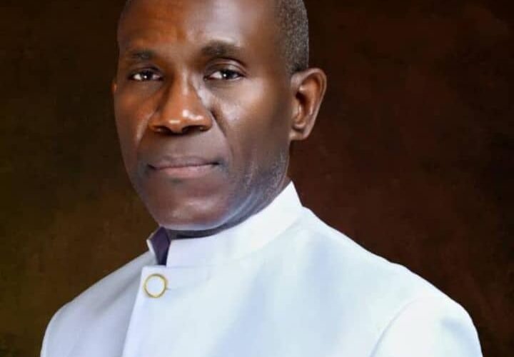 They Call Me Many Names: A Pen Terrorist, A Stinging Bee, And Lately Even A London Propogandist – By Prof Chukwuemeka Ifegwu Eke