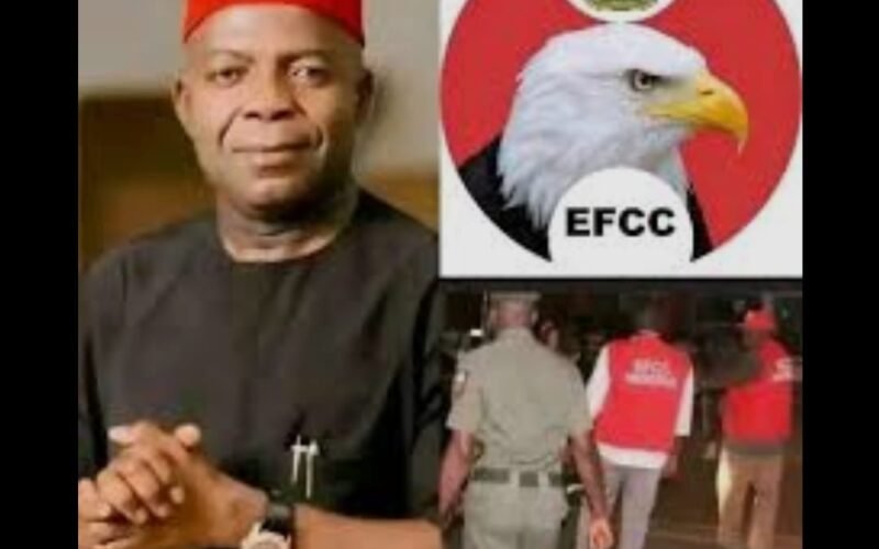 Much Ado About Nothing- By Prof Chukwuemeka Ifegwu Eke 1 IMG 20260123 WA0005