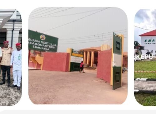 Orie-Day Outrage Or Evidence-Day Accountability? A Record-Based Response To Manufactured Despair – By Prof Chukwuemeka Ifegwu Eke