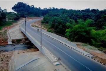 He Remembered The Dead – So the Living Can Cross Safely – By Prof Chukwuemeka Ifegwu Eke