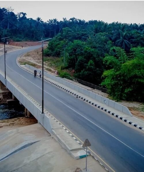 He Remembered The Dead – So the Living Can Cross Safely – By Prof Chukwuemeka Ifegwu Eke