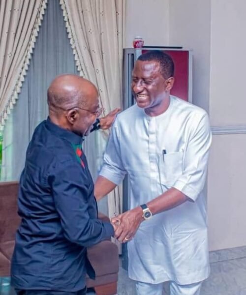 Dr Uche Ogah Is Not The Problem- He Is The Man Who Had The Courage To Tell The Truth – By Prof Chukwuemeka Ifegwu Eke