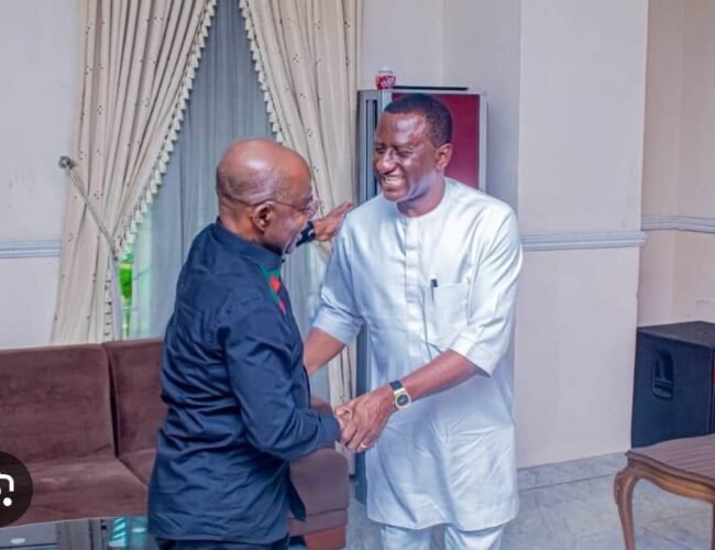 Dr Uche Ogah Is Not The Problem- He Is The Man Who Had The Courage To Tell The Truth – By Prof Chukwuemeka Ifegwu Eke