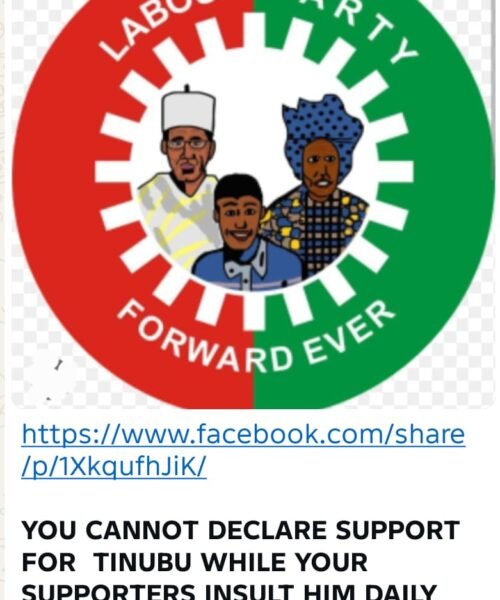 You Cannot Declare Support For Tinubu While Your Supporters Insult Him Daily On Social Media: This Argument Is Built More On Speculation Than Facts – By Prof Chukwuemeka Ifegwu Eke