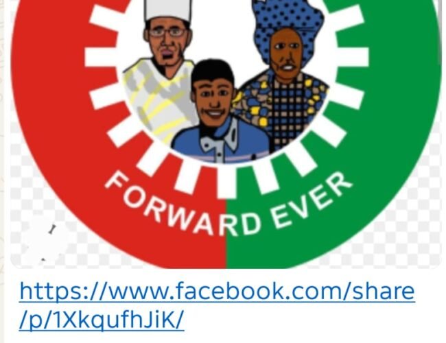 You Cannot Declare Support For Tinubu While Your Supporters Insult Him Daily On Social Media: This Argument Is Built More On Speculation Than Facts – By Prof Chukwuemeka Ifegwu Eke