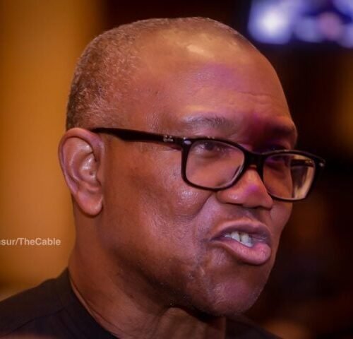 2027: Nigerian Government Doesn’t Want Me To Contest  Presidential Election- Peter Obi
