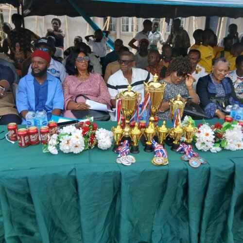 Jubilation As Pink House(Dr. Kingsley Onwuka Kalu House) Emerge The Overall Winner Of Ofali Agwu Primary School 2026 Annual Inter-House Sports Sponsored By The Alumni Association