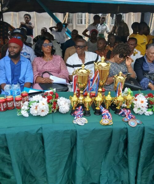 Jubilation As Pink House(Dr. Kingsley Onwuka Kalu House) Emerge The Overall Winner Of Ofali Agwu Primary School 2026 Annual Inter-House Sports Sponsored By The Alumni Association