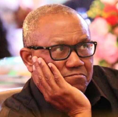 Don’t Come Here, Allow Us Build NDC In Peace – Peter Obi Dares Tinubu Govt