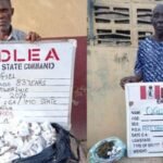 NDLEA Arrests Two Grandpas For Drug Trafficking In Abia, Ekiti