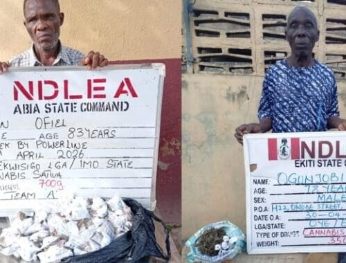 NDLEA Arrests Two Grandpas For Drug Trafficking In Abia, Ekiti