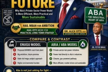 Aba Has Shown The Future: Why Abia’s Private-Sector Power Model Is More Efficient, More Practical And More Sustainable- By Prof Chukwuemeka Ifegwu Eke