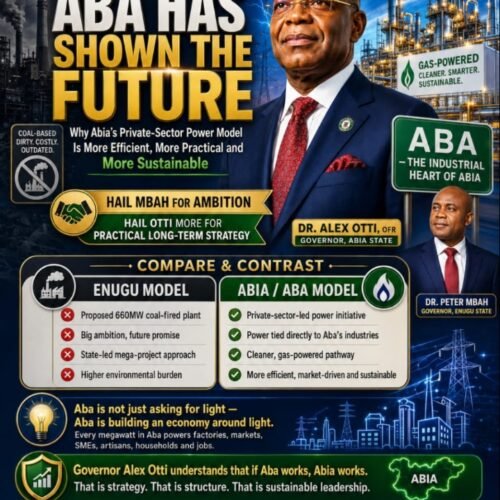 Aba Has Shown The Future: Why Abia’s Private-Sector Power Model Is More Efficient, More Practical And More Sustainable- By Prof Chukwuemeka Ifegwu Eke