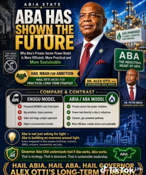Aba Has Shown The Future: Why Abia’s Private-Sector Power Model Is More Efficient, More Practical And More Sustainable- By Prof Chukwuemeka Ifegwu Eke