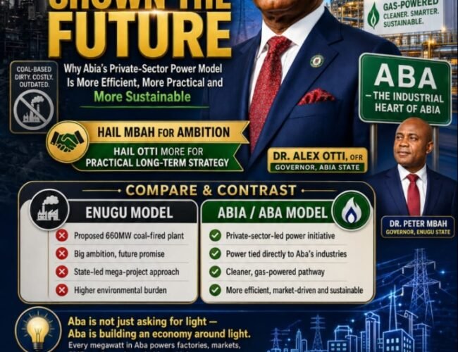 Aba Has Shown The Future: Why Abia’s Private-Sector Power Model Is More Efficient, More Practical And More Sustainable- By Prof Chukwuemeka Ifegwu Eke