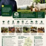 Prosperity From The Grassroots: Rural Livelihoods, Agriculture And The New Abia Vision – By Prof Chukwuemeka Ifegwu Eke