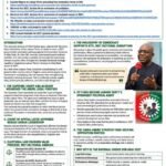 Why The Ceekay Igara – Abure Strategy Cannot Stop Alex Otti And Labour Party In Abia 2027 – By Prof Chukwuemeka Ifegwu Eke