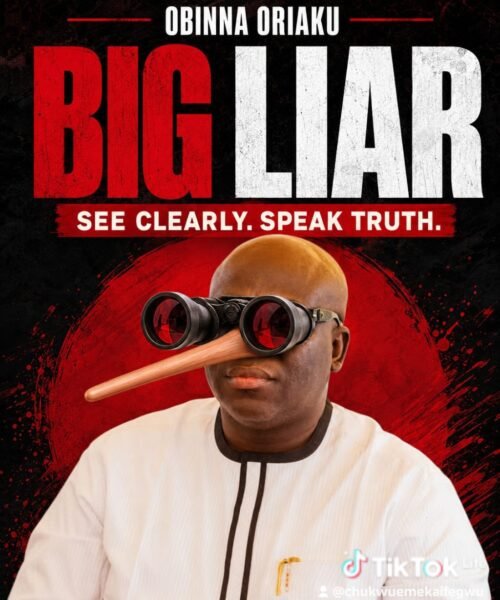 Obinna Oriaku Should Stop Confusing Noise For Data – By Prof Chukwuemeka Ifegwu Eke