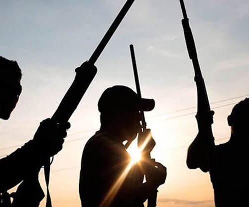Gunmen Abduct INEC Official During ADC Primary In Cross River