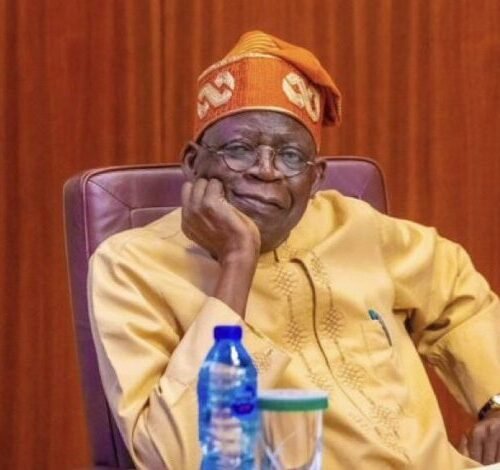 We Can Take More Loans, Nigeria Not Borrowing  Like Egypt, South Africa, Others – Presidency