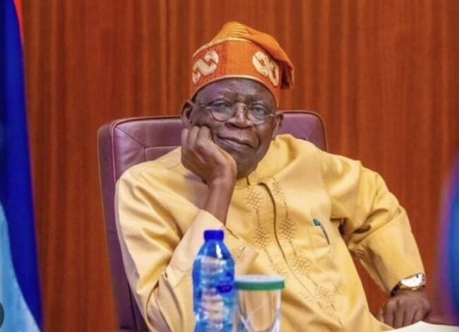 We Can Take More Loans, Nigeria Not Borrowing  Like Egypt, South Africa, Others – Presidency