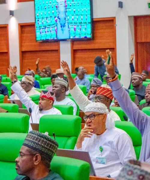 Resign If You Can’t End Insecurity, Reps Tell Service Chiefs