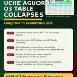 UCHE AGUORU’S LENGTHY TIRADE COLLAPSES UNDER BASIC ECONOMIC SCRUTINY — BY PASTOR PROF. CHUKWUEMEKA IFEGWU EKE