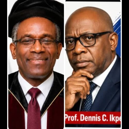 ADC’s Dennis C Ikpe Has Just Described Governor Alex Otti’s Development Model – By Pastor Prof. Chukwuemeka Ifegwu Eke