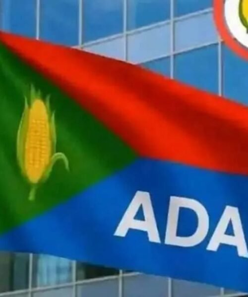 Court Clears Coast For ADA’s Registration, Orders INEC To Release Access Code