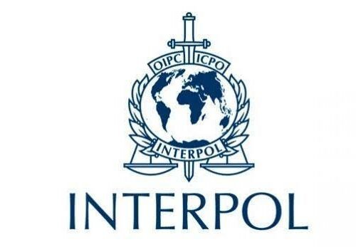 Interpol Arrests 5800 Yahoo Boys, Recovers$293 Million