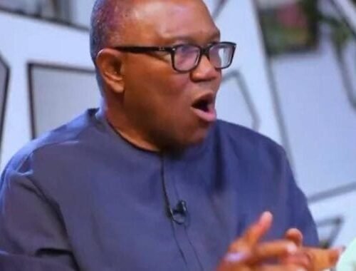 ‘If I am President, I Will Do Everything Possible To Make Opposition Parties Strong’- Peter Obi
