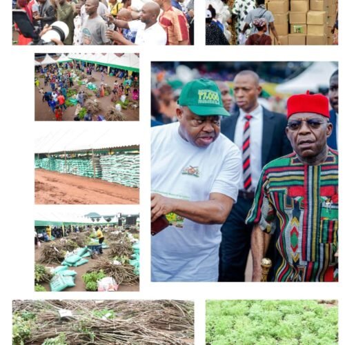 Otti’s Agricultural Pathway To Abia’s Food Security – By Ebere Uzoukwa,  Ph.D(SSA To Governor Otti On Public Affairs)