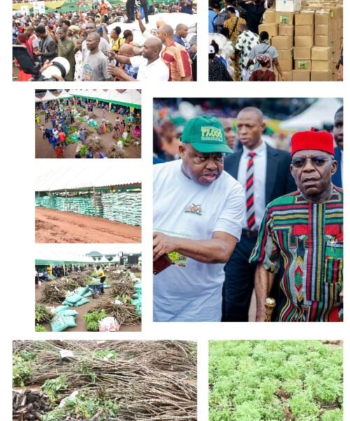 Otti’s Agricultural Pathway To Abia’s Food Security – By Ebere Uzoukwa,  Ph.D(SSA To Governor Otti On Public Affairs)