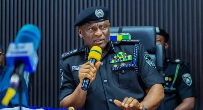 IGP Disu Orders Shoot-At-Sight Nationwide For Persons With Illegal Firearms