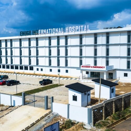 Give Us The Real Picture: Otti’s Health-Sector Record Cannot Be Erased By An AI Impression-By Pastor Prof Chukwuemeka Ifegwu Eke