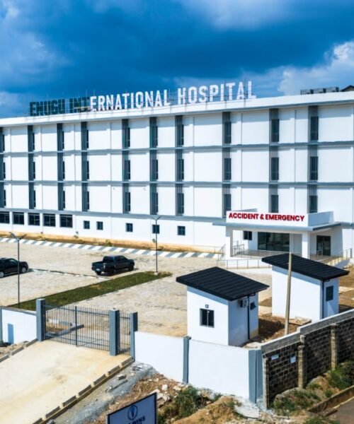 Give Us The Real Picture: Otti’s Health-Sector Record Cannot Be Erased By An AI Impression-By Pastor Prof Chukwuemeka Ifegwu Eke