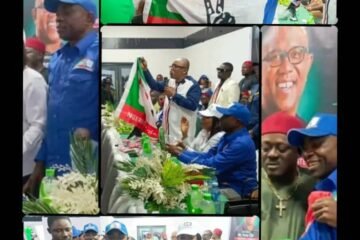 NDC Unveils Etugo Ogah, Uko Nkole, Nworgu, Others As Candidates For 2027 Elections In Abia