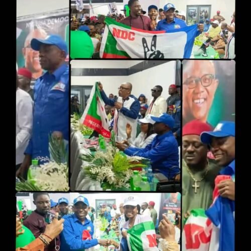 NDC Unveils Etugo Ogah, Uko Nkole, Nworgu, Others As Candidates For 2027 Elections In Abia