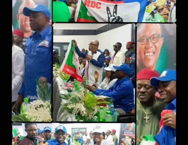 NDC Unveils Etugo Ogah, Uko Nkole, Nworgu, Others As Candidates For 2027 Elections In Abia