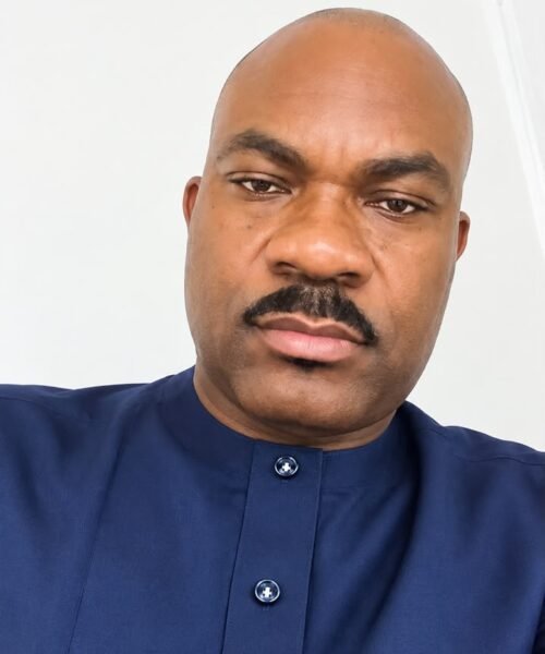 Has Prince Adewole Adebayo, The 2027 Presidential Candidate Of SDP Conducted A Census Of Every Roof In Nigeria He Promises To Install Solar Power On? – By Maazi Obinna Agommuo (Author, Researcher, Afro-Industrial Revolutionist)