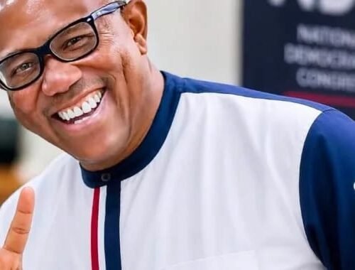 I’ll Return Nigerian Youths To Farming And Small Scale Businesses If Elected President In 2027 – Peter Obi