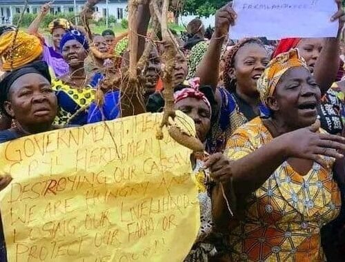 Herdsmen Uprooting Our Cassava Tubers, Feeding Them To Cattle – Abia Women Protest