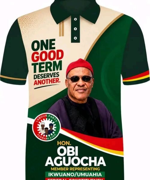 One Good Tenor Deserves Another: Educational Revival – How Rt. Hon. Obi Aguocha Rescued A Failing System